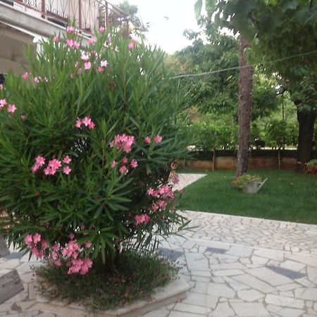 Vila Alma Poreč Extérieur photo