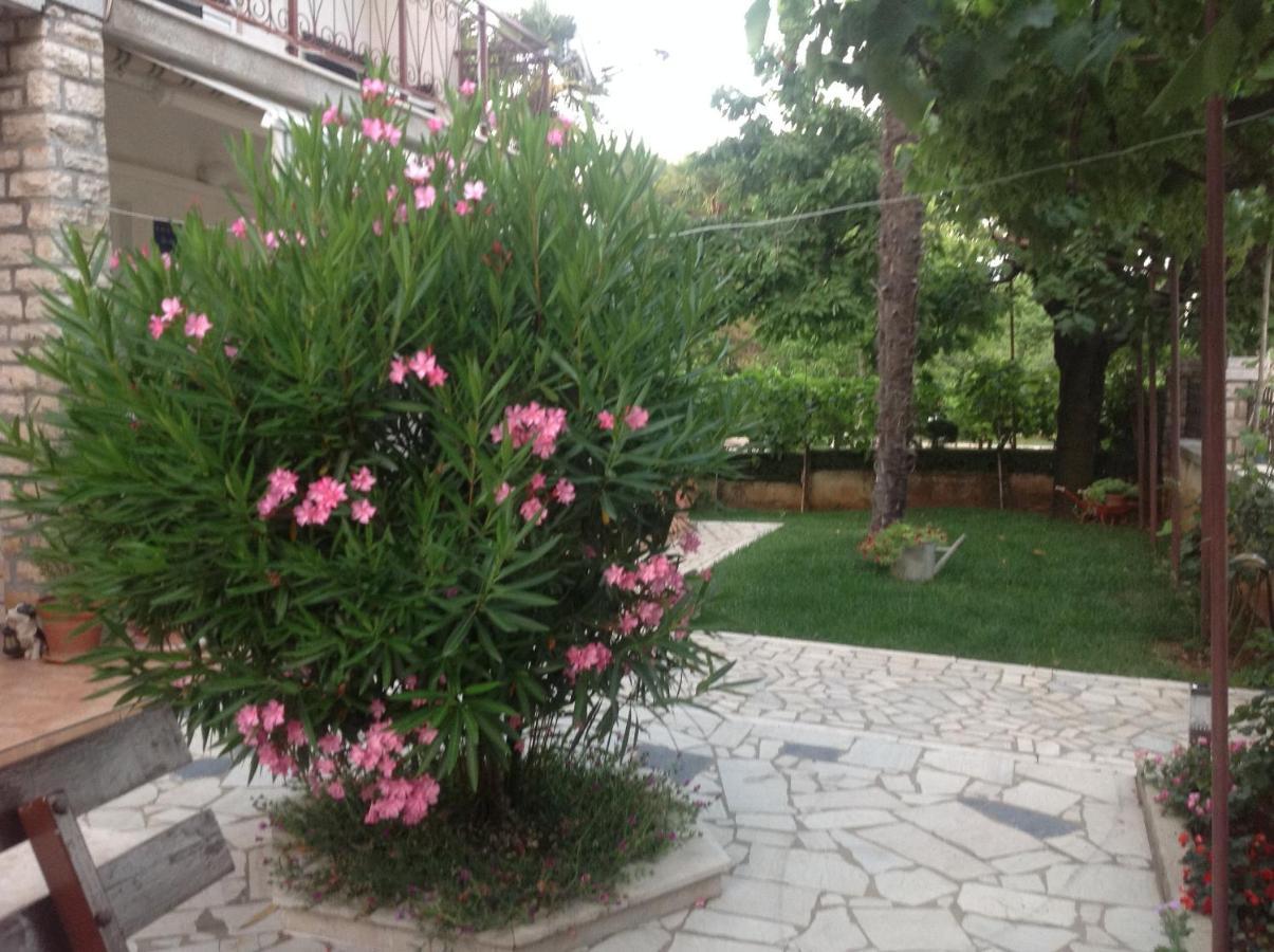 Vila Alma Poreč Extérieur photo